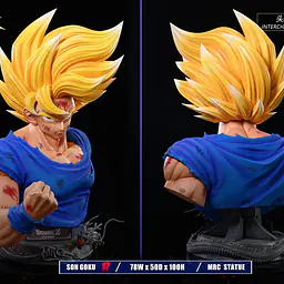 MRC - Goku 10