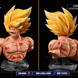 MRC - Goku 8
