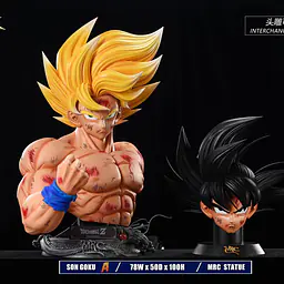 MRC - Goku 6