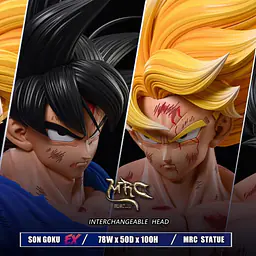 MRC - Goku 7