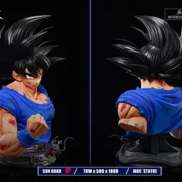 MRC - Goku 9