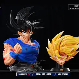 MRC - Goku 5