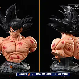 MRC - Goku 11
