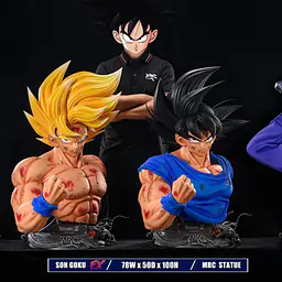 MRC - Goku 12