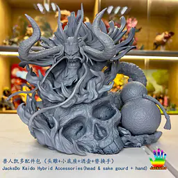 JacksDo - Kaido Hybrid Accessories 1