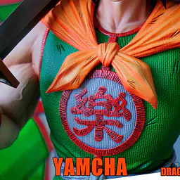 GBA - Yamcha 13