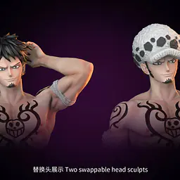 Glory - Trafalgar Law 5