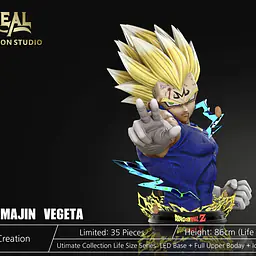 Real Creation - Majin Vegeta 1