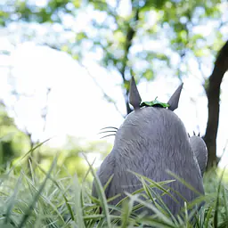 Long Miao - Totoro 7