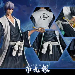 Cheng - Gin Ichimaru 9