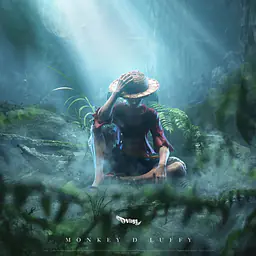 Wings - Luffy 5