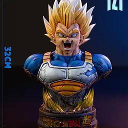 TZT - Vegeta 4
