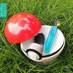 Qing Qiu - Pokeball 4