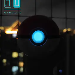 Qing Qiu - Pokeball 5