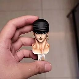 Jinshan - Zoro 17