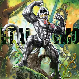 MIMAN - MetalEtemon 1