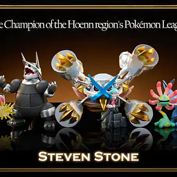 Collection Hall - Steven Stone Champion Team 6