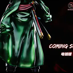 GG - Zoro 8