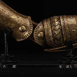 Pure Arts - Malenia's arm 9