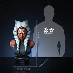 Force - Ahsoka 4