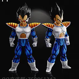 FY - Vegeta 1