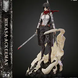 Light Team - Mikasa 6