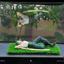 Sunday - Zoro 8