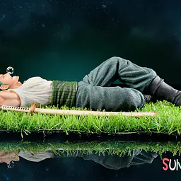 Sunday - Zoro 2