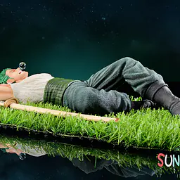 Sunday - Zoro 4