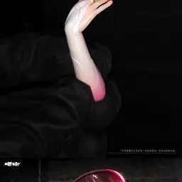 Baji - Fu Xuan 8