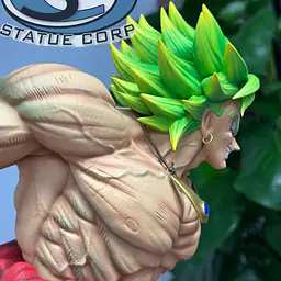 Z - Broly 8