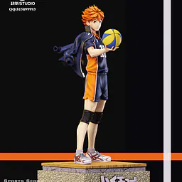 Que Yang - Shōyō Hinata 6