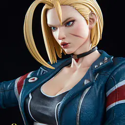 Haobo - Cammy 2
