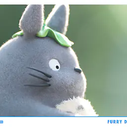 Chikara - Totoro 4
