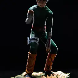 Sign - Rock Lee 1