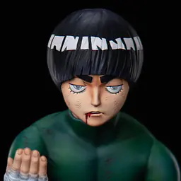 Sign - Rock Lee 2