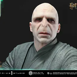 Prime 1 - Lord Voldemort 11