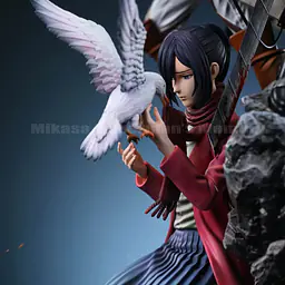 LC - Mikasa 5