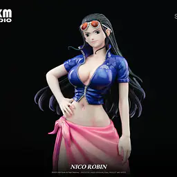 DKM - Nico Robin 2