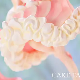 We Art Doing - Cake Fairies 46