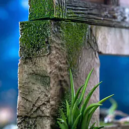 Wu Yu - Totoro and Mei 5