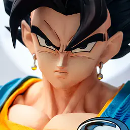 Infinite - Vegito 17