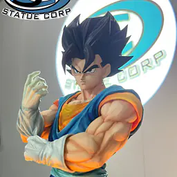 Infinite - Vegito 11