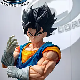 Infinite - Vegito 48