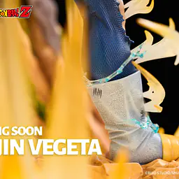 Light Year - Majin Vegeta 10
