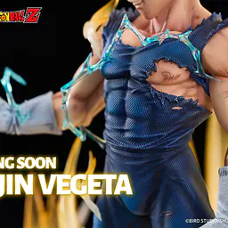 Light Year - Majin Vegeta 14