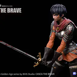 BIHS - Casca 7