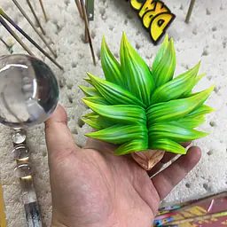 Bao Zi A - Broly 15