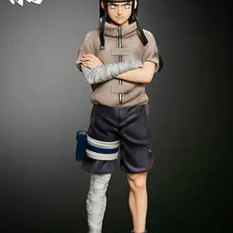 Shadow - Neji 1
