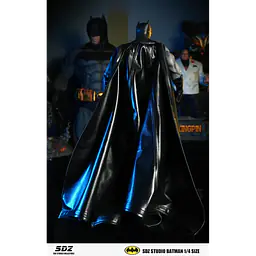 SDZ - Batman 6
